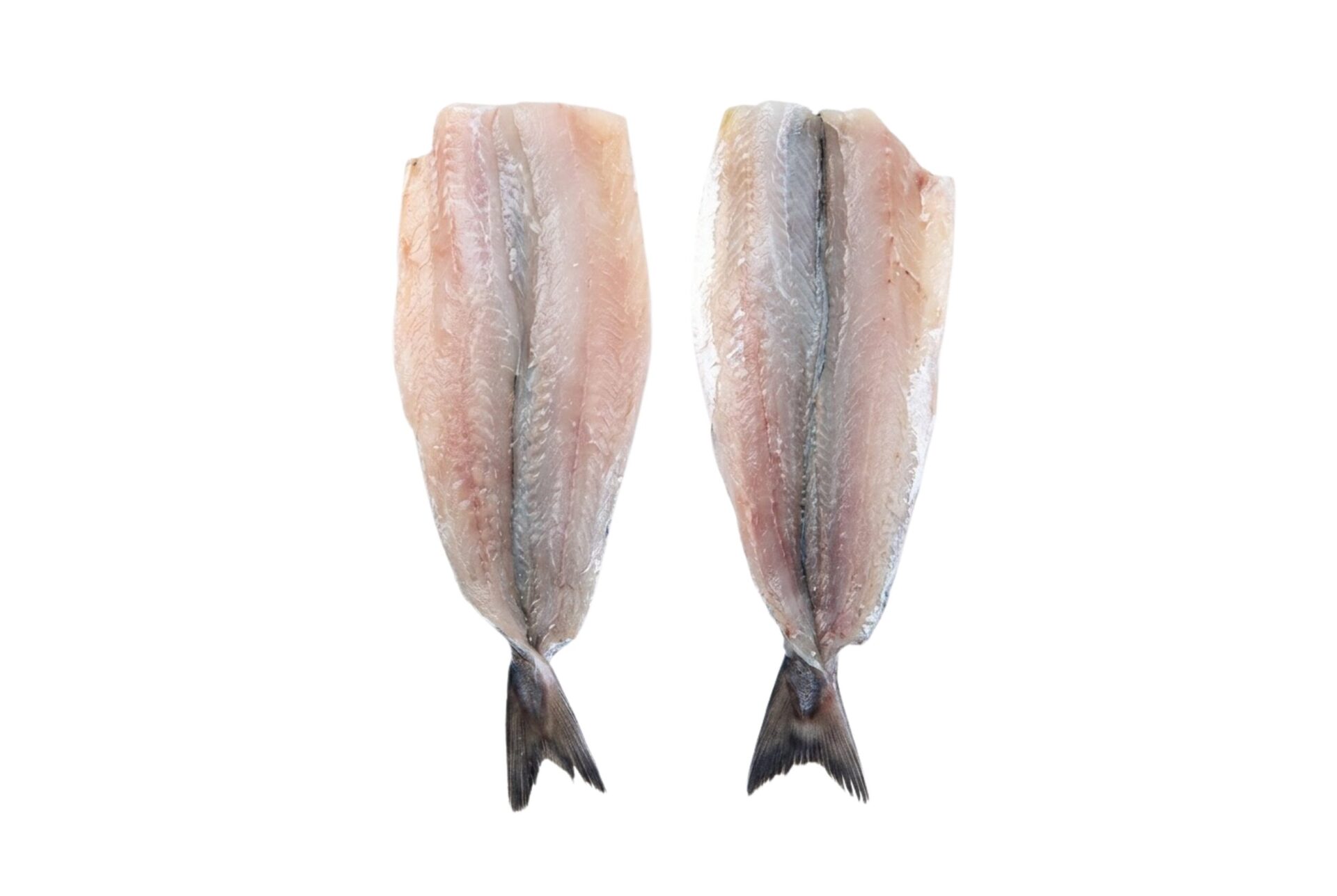 Maire (500g) - Imatge 2