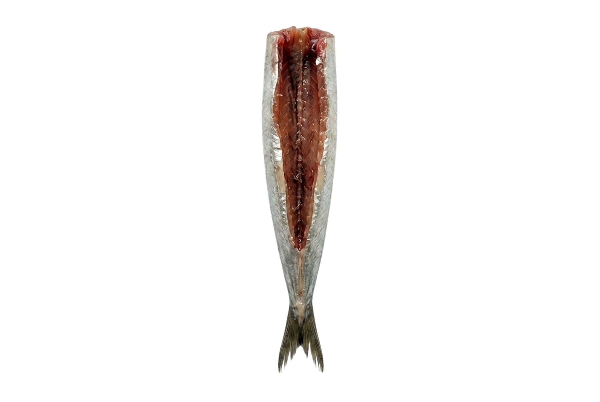 Sardina (500g) - Imagen 3