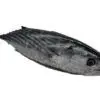 bonitol bonito
