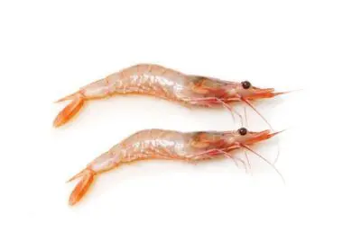 Gamba blanca (250g)