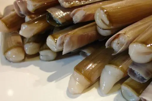 Navajas (500g) - Imagen 2