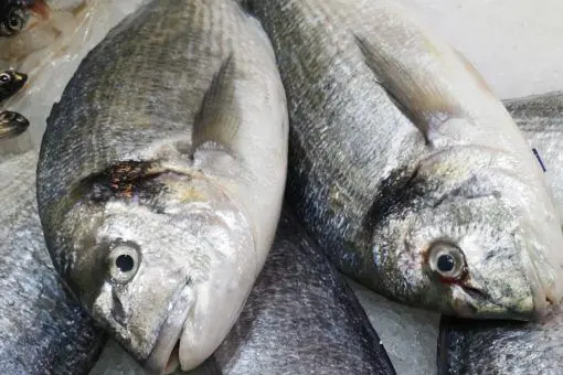 Dorada nacional (550g) - Imagen 3
