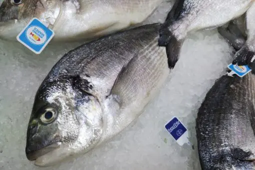 Dorada nacional (550g) - Imagen 2