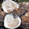 Ostra gallega especial (12 u.) - Imagen 2