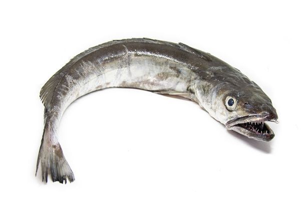 Merluza de palangre () - Peix a Casa - Pescadería Online
