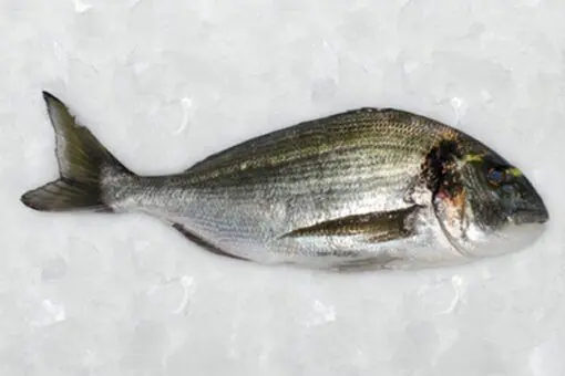 Dorada salvaje (1Kg) - Imagen 2