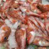 Pescado de roca (Para hacer caldo o fumet) (1kg) - Imagen 3