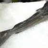 Bacalao fresco (1.5kg) - Imagen 4