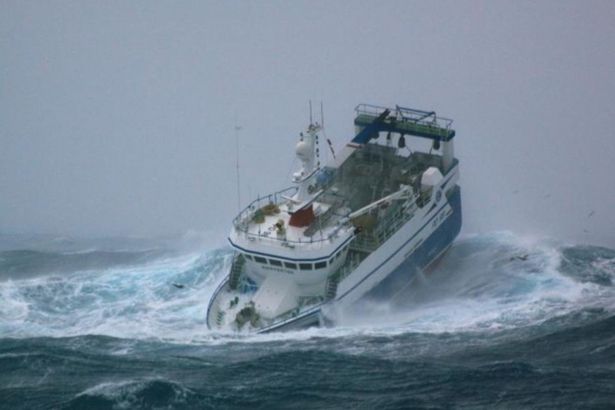 El precio del pescado en Marzo