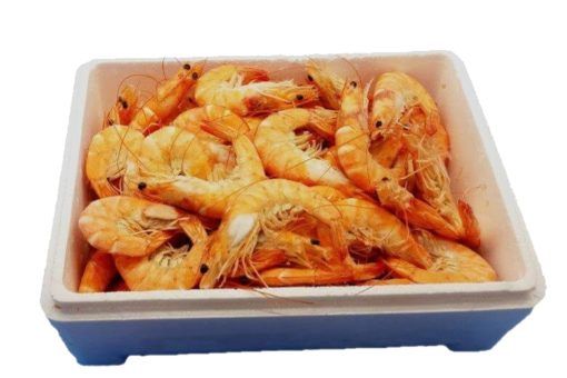 langostino cocido caja marisco