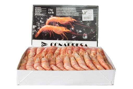 caja gamba langostinera fresca marisco