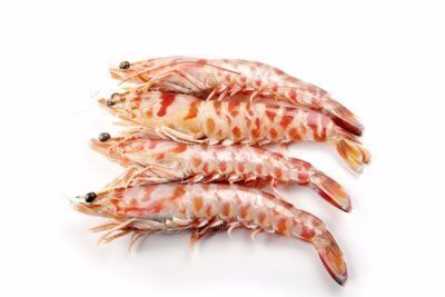 Langostino tigre buenísimo fresco