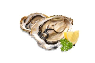 Ostró Guillardeu Nº3 (24u)