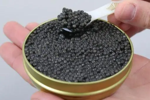 Caviar Beluga Iraní 30g - Imagen 2