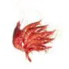 Gamba roja fresca de palamós