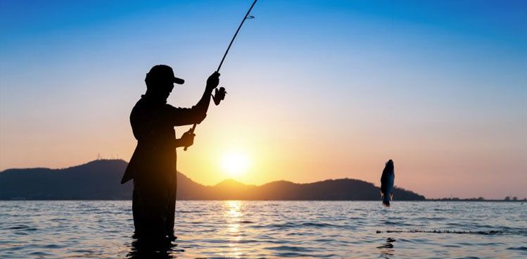 Tipos de Pesca Deportiva en Mar y en Interior que puedes Practicar