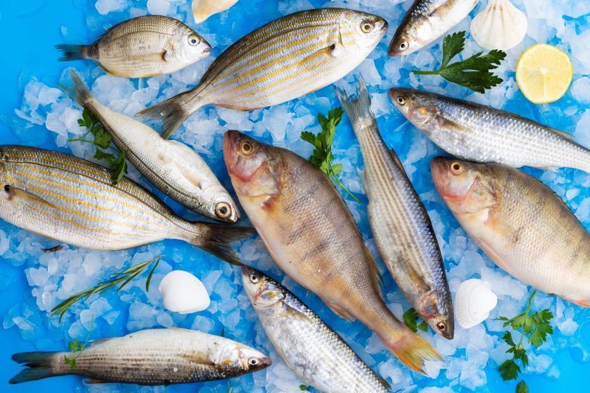 Cómo diferenciar pescado azul y blanco