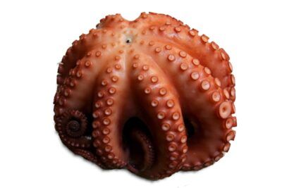 pulpo cocido entero