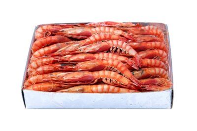 GAMBA VERMELLA ALISTADA