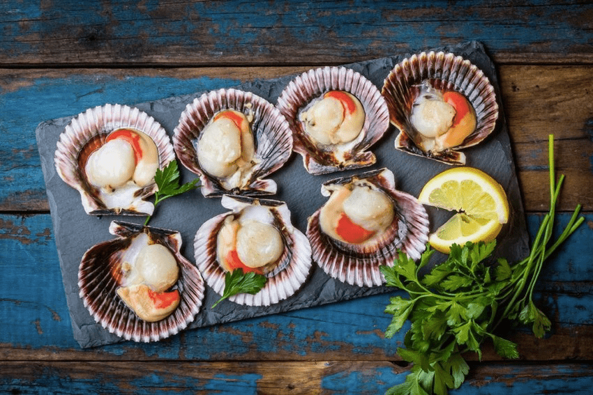 Hokkaido scallops