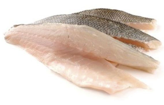 supremas corvina