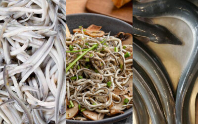 Diferències entre angula, gula i anguila