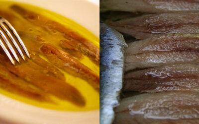 Anxoves en salaó vs anxoves en oli: quina és la diferència real?