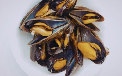 Musclo de roca vs musclo de batea