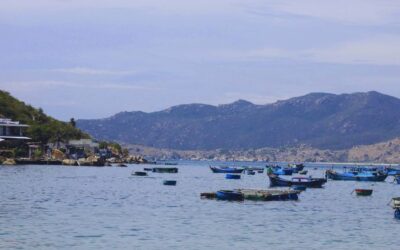¿Qué pescado comer en abril?