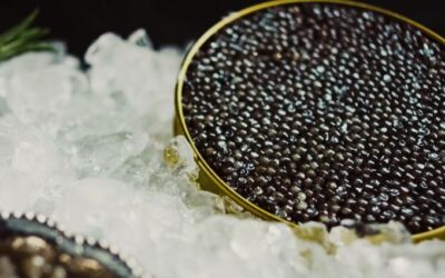 Caviar iraní